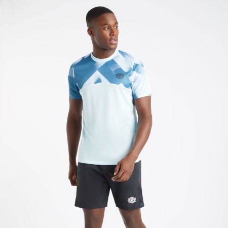 Blue / White Men's Umbro Pro Training Gym Tee T Shirts | CA-04315